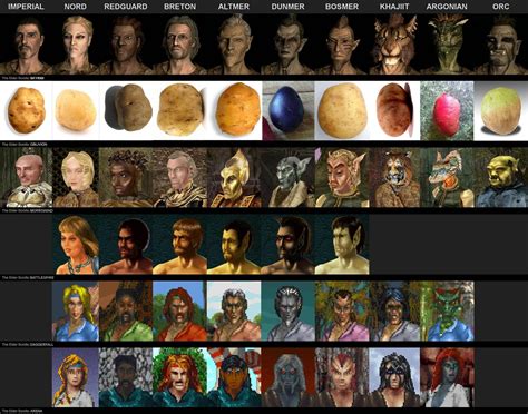 tamriel races|skyrim all races.